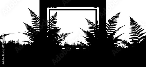 Fotografía Elegant fern silhouette frames a natural scene hinting at serenity and organic d