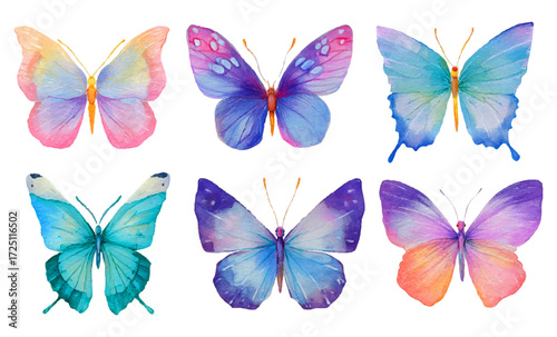 Set of colored watercolor butterflies. Colorful butterflies in delicate colors. Spring and summer elements of nature. Cute watercolor butterflies on a white isolated background.