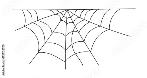Spider web icon. Outline flat design vector illustration isolated on white background. Spiderweb
