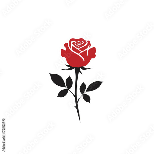  Red Rose vector illustration