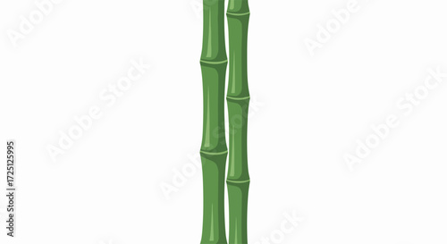 Two green bamboo stalks, isolated against white background, present delicate bamboo canes with smooth texture and distinct nodes. Bamboo stems show shades of green, symbolizing growth and freshness.
