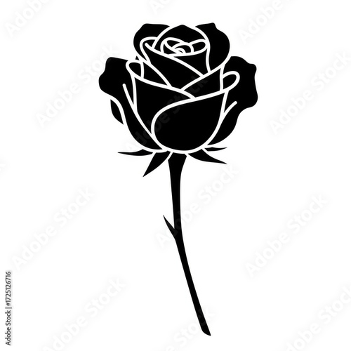 Rose vector illustration