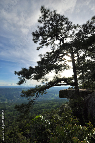 Lom Sak Cliff (Pha Lom Sak) with sunset on Phu Kradueng mountain national park, Loei province, Thailand