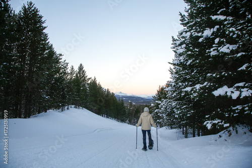 Woman snowshoeing in northern Norway: Reisa Valley National Park in January