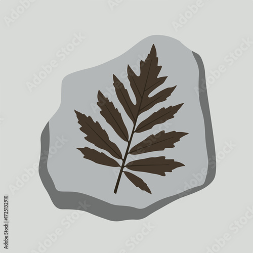 Brown fern leaf, detailed lobes, presented on rock with soft shadow