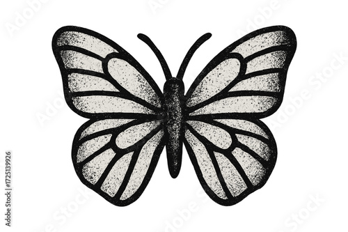 Detailed black and white butterfly illustration with intricate patterns and wings spread wide