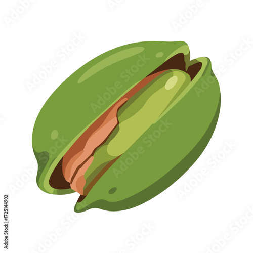 Vector image of a split, green pistachio nut, isolated