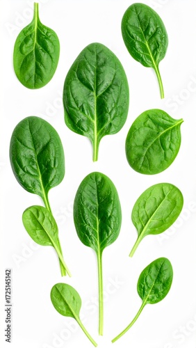 Fresh Spinach Leaves Isolated on White for Premium Vegetable Food Object and Healthy Organic Concept