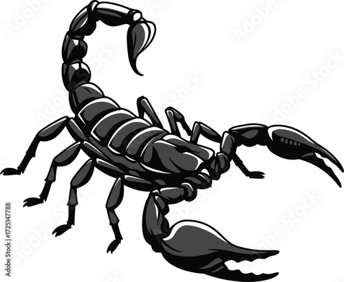 Scorpion illustration, black insect artwork, detailed arachnid drawing, dangerous predator design 