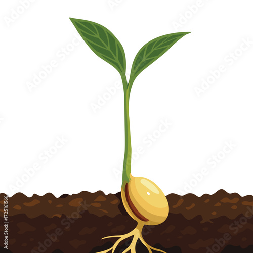 A new green sprout is growing from a seed in soil, isolated on a white background.