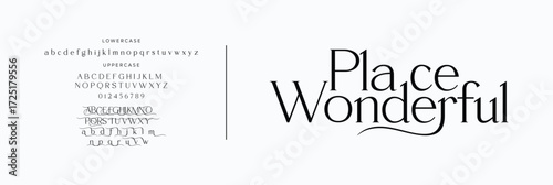 Elegant Font Uppercase Lowercase And Number. Classic Lettering Minimal Fashion Designs. Typography modern serif fonts regular decorative vintage concept. vector illustration

