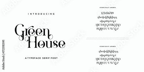 Luxury wedding alphabet letters font with tails. Typography elegant classic lettering serif fonts and number decorative vintage retro concept for logo branding. vector illustration

