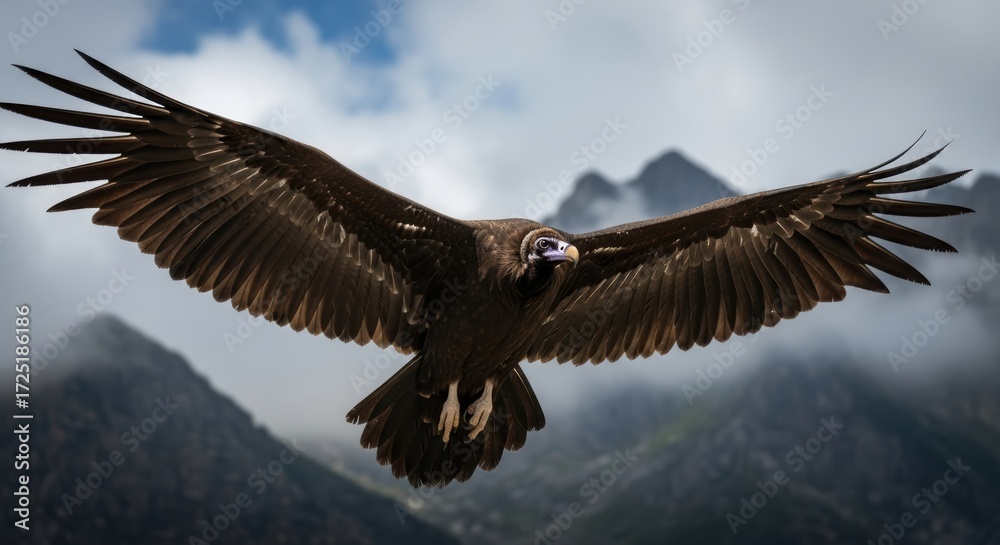 Fototapeta premium Powerful Brown Vulture Flying with Open Wings Over Mountain Landscape