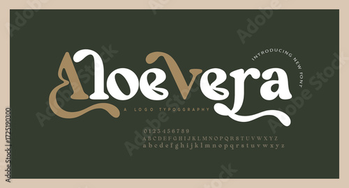 Elegant alphabet letters font and number. Classic Lettering Minimal Fashion Designs. Typography modern serif fonts regular decorative vintage concept. vector illustration

