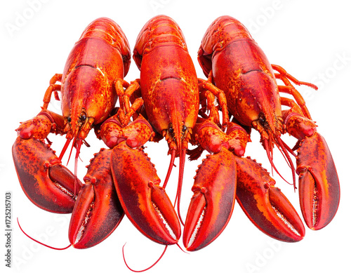 Four vibrant red lobsters clustered together, showcasing their claws and bodies