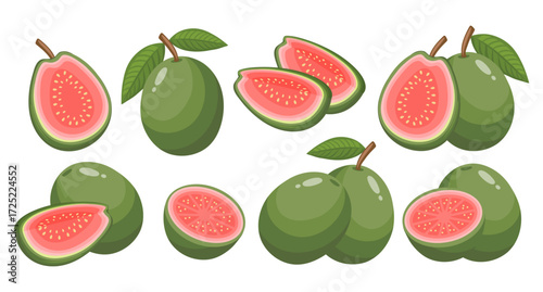 Fresh guava fruits collection, whole, halved and sliced. Healthy fruit illustration.. Tropical fruit set.