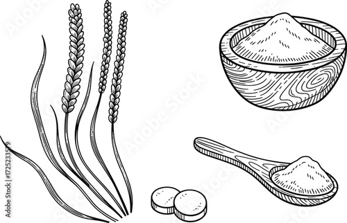 Wheat stalks with flour and spoon, black and white nutrition vector, organic grain illustration, natural food supplement graphic design