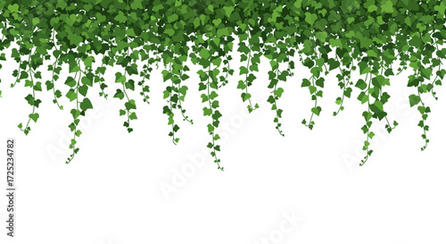 Creeper plant garland border. Green liana climbing garden wild plant frame. Evergreen leaves dangling foliage branches ivy vines. Place for text. Natural botanical wedding card design. Vector