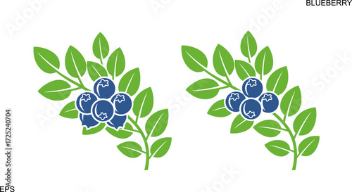Blueberry bush. Isolated blueberry on white background