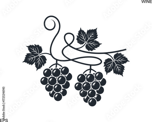 Wine logo. Isolated wine on white background