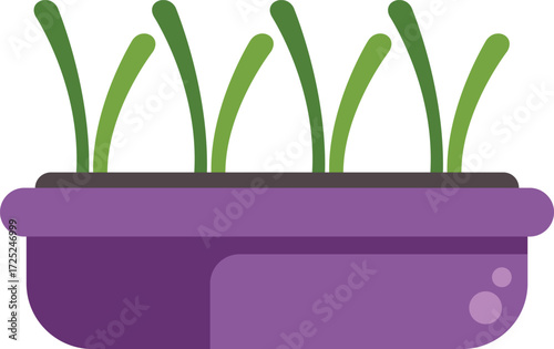 Green plants are growing from a purple flowerpot filled with soil