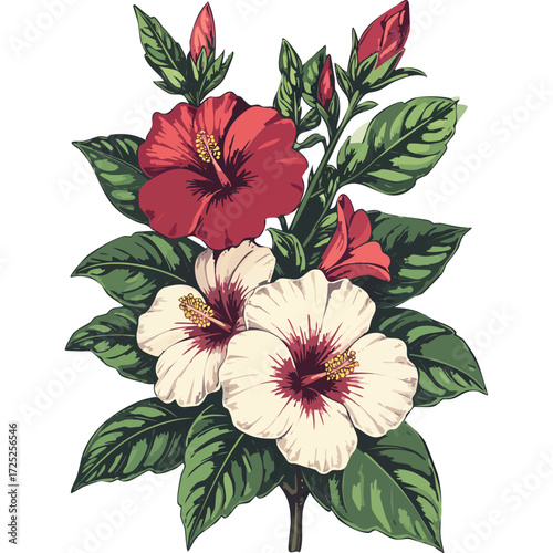 Hand Drawn Hibiscus Flowers Vector Illustration – Botanical Line Art