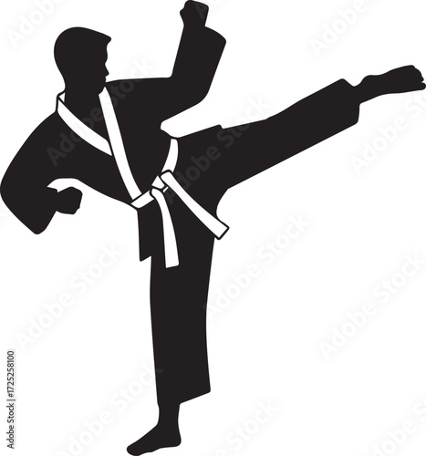 Dynamic karate silhouette captures powerful side kick with white belt and uniform detail