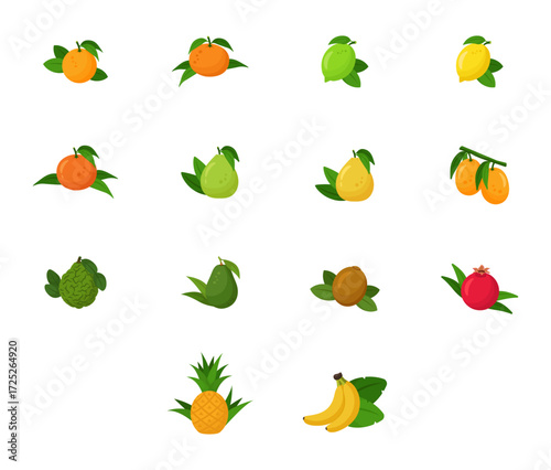Flat design of citrus fruits. Vector illustrations on white background. Icons. Set of fruits.	