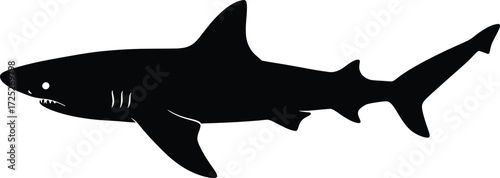 Hunting, Subject: Black Shark, Location: Ocean Waters, Content Type: Vector Art, Environment: Underwater Scene, Viewpoint: Side Profile, Concept: Vector Fish Silhouette