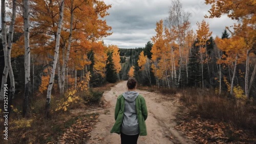 the girl walks in the autumn forest