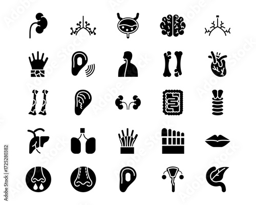 Human Anatomy Line Vector Icons