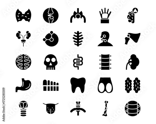 Human Anatomy Line Vector Icons