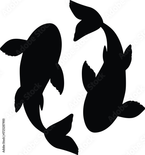 Koi Fish Circular Silhouette – Pisces Zodiac Symbol or Yin-Yang Style Vector