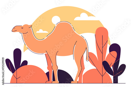 camel in desert
