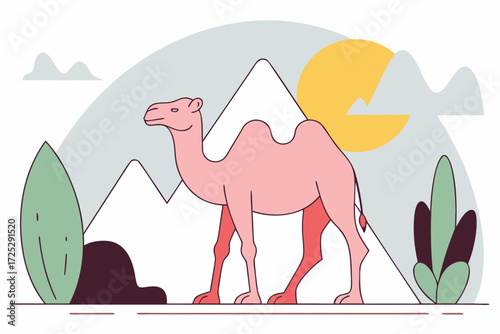 camel in the desert