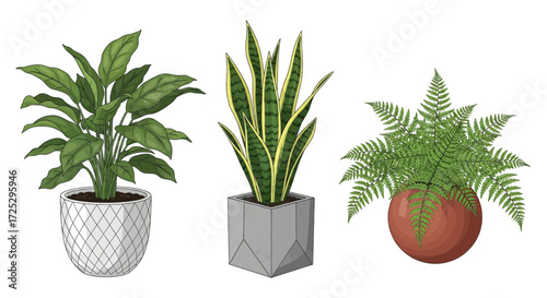 Stylish potted houseplants collection bringing nature indoors for modern home decor and fresh botanical style
