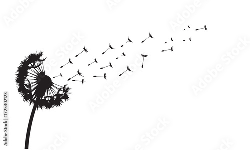Dandelion Silhouette with Seeds Dispersing in the Wind