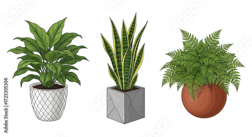 Modern potted plants illustrations for home decor, office spaces, and interior design projects
