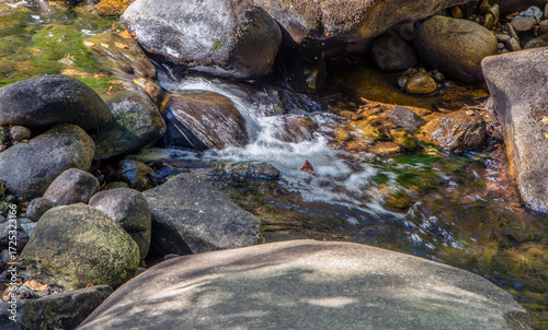 willard brook  during a drought