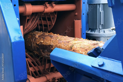 Wood debarking machine removing bark from raw log on woodworking factory. Part of conveyor line in timber manufacturing. Engineering technology in wooden production. Modern equipment on sawmill plant.