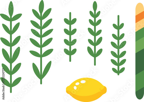Sukkot festival symbols: etrog and lulav set with myrtle, willow, palm branches — flat vector illustration for Jewish holiday designs and decorations.