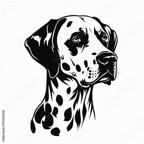 Dalmatian portrait with distinctive black spots on white fur, capturing its unique charm. Dalmatian portrait displays noble head structure, detailed facial features, and elegant posture.