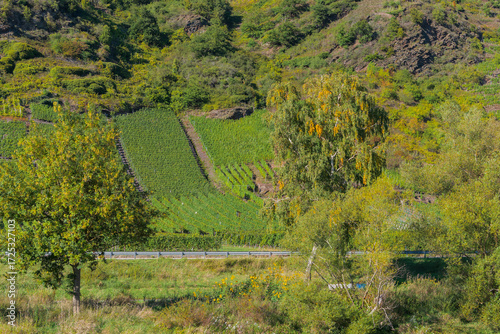Moselregion - Deutschlands ältestes Weinbaugebiet und das größte Steillagenweinbaugebiet der Welt