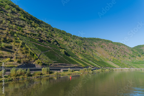 Moselregion - Deutschlands ältestes Weinbaugebiet und das größte Steillagenweinbaugebiet der Welt