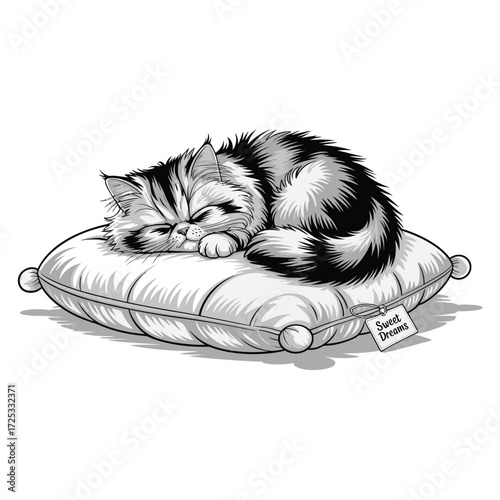 Kitten sleeping peacefully on soft pillow, fluffy pet cat taking nap, sweet dreams slumber