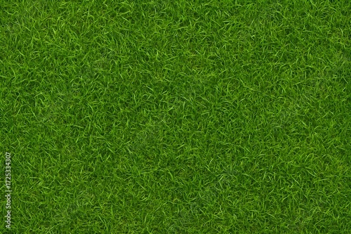 seamless grass texture natural green background
