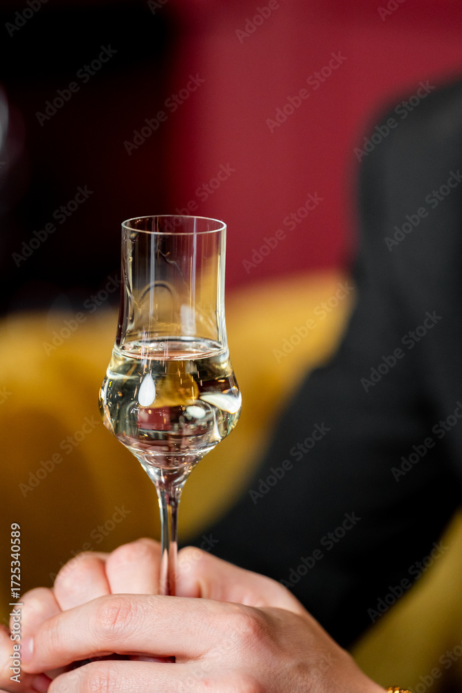 Obraz premium Close-up of hands holding a stemmed glass with clear alcohol in a cozy indoor setting. Elegant drink presentation, warm background, lifestyle and hospitality concept.