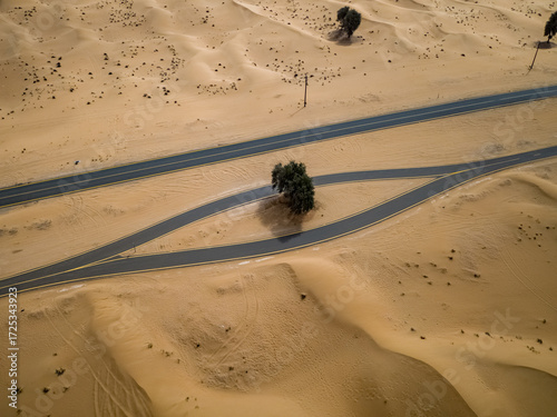 Aerial view of a stark, dark asphalt road slicing through undulating waves of golden sand, punctuated by sparse green trees, Dubai, Dubai, United Arab Emirates.