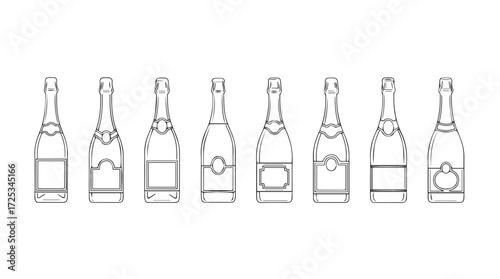 Collection of miniature champagne bottles with different labels and shapes celebrating festive occasions vector
