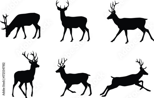 Silhouette illustration of deer with antlers, wild stag poses, animal wildlife vector collection, hunting design elements, forest nature artwork